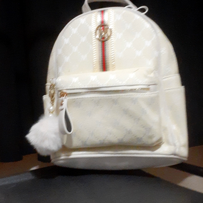 Nwt Small Backpack